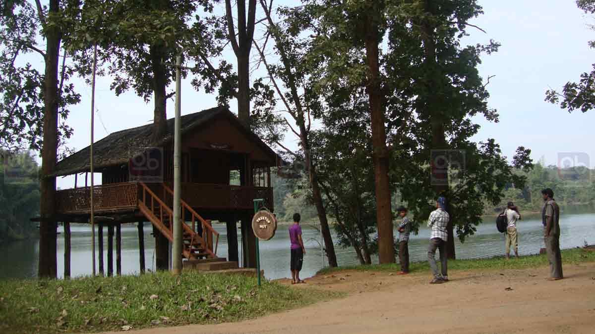 stay at parambikulam