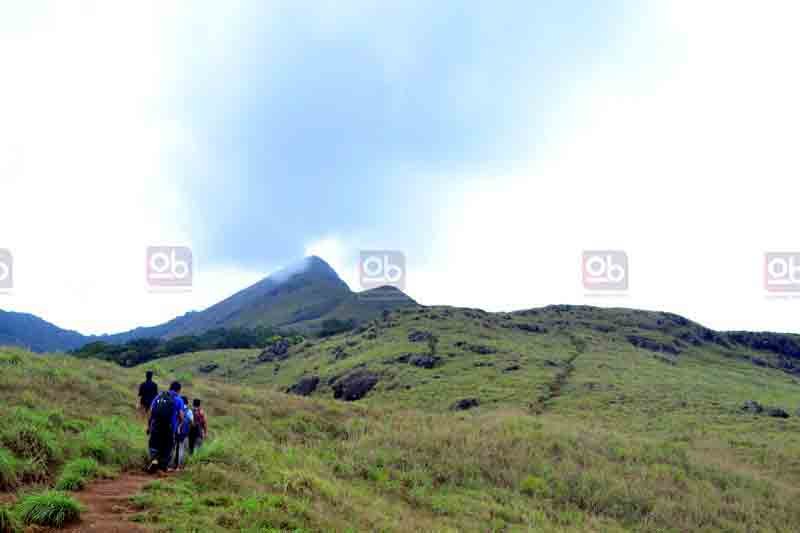 tourism place in wayanad