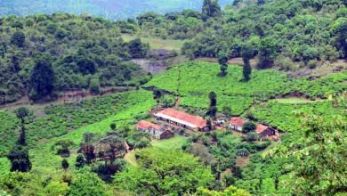 tourism place in wayanad