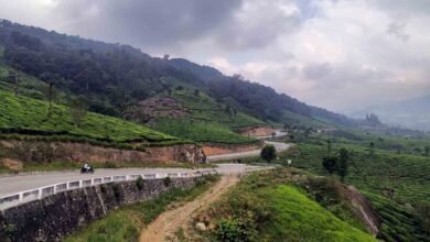 munnar gap road
